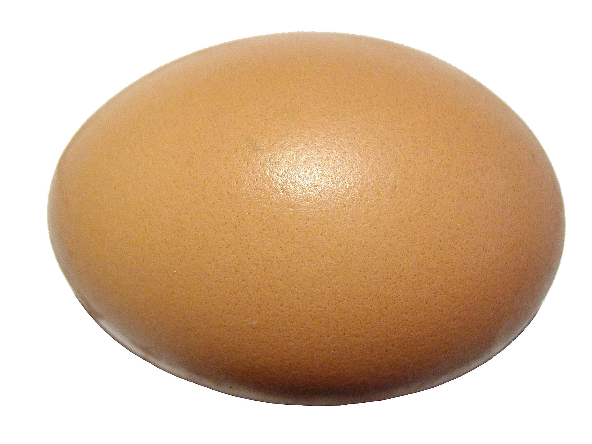 Egg (single egg, loose)